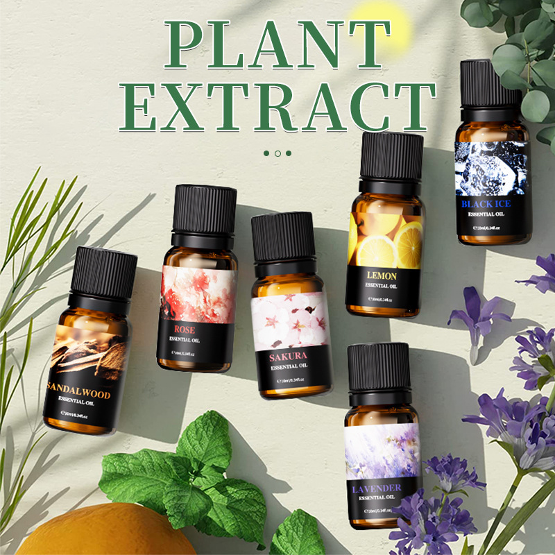 6Pcs 10ml Fragrance Essential  - đánh giá và giá Soap Making Kit For Beginners